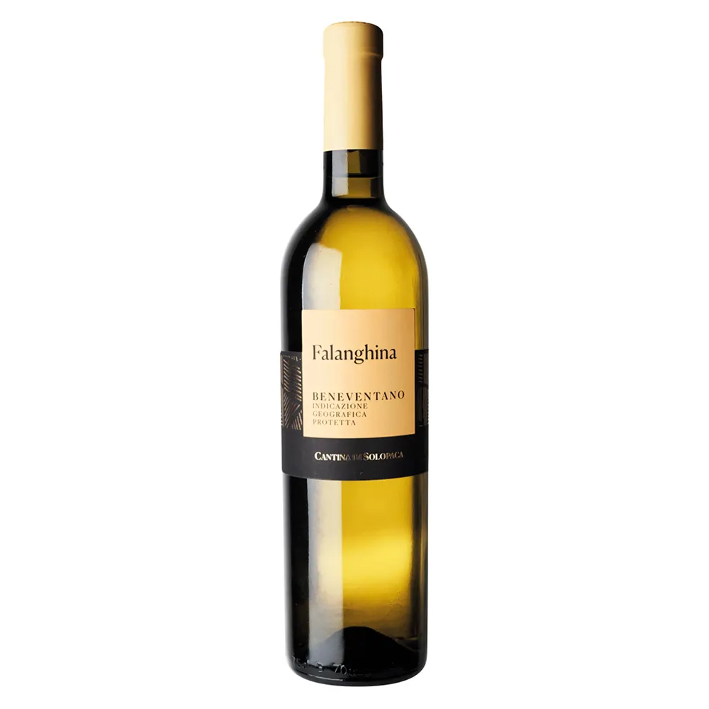 Vinho Tinto Premium Falanghina Beneventano IGP Prime Vigne garrafa 0,75 litros