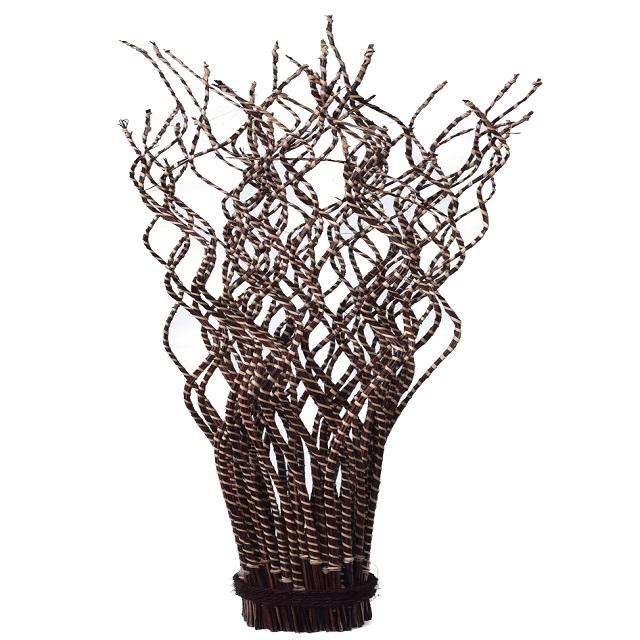 สีน้ำตาล