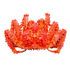 Canlı kırmızı Alaskan kral yengeç/vahşi yakalanan dondurulmuş Alaskan kral yengeç bacaklar/en iyi kalite haşlanmış kral yengeç bacakları - Product Image 1