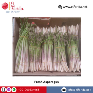 Wholesale Price Quality 100% Natural Fresh Vegetables <strong>Asparagus</strong> From Egypt Origin Supplier and Exporter
