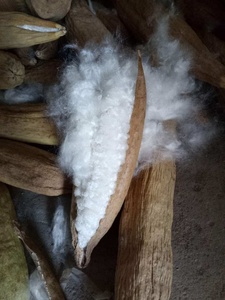 Yastık ve kuş yuvası için Kapok Fiber dolması hayvanlar özel toplu ambalaj vietnamca Capoc ham desen - Product Image 3