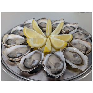 Quality Frozen Fresh Seafood Large <strong>Live</strong> Oysters Dried Style; Bulk Frozen Oyster <strong>Shells</strong> Fresh From the Importer reasonable price - Product Image 6