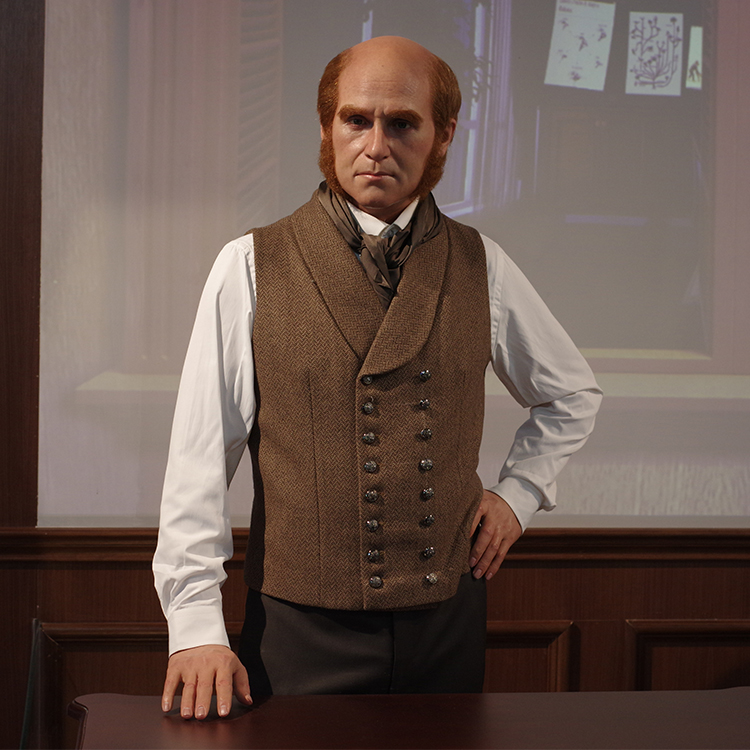 Darwin de mediana edad