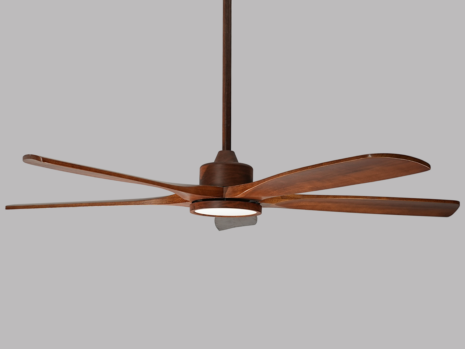 Reddish Walnut