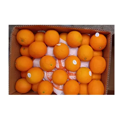 Online kaufen / bestellen Top Qualität leckere süße frische Zitrus orangen mit der besten Qualität besten Preis Exporte aus Deutschland