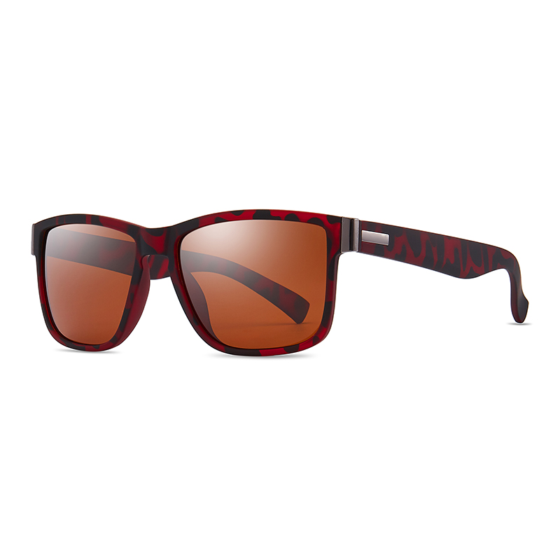 C6: Tortoise/ Brown