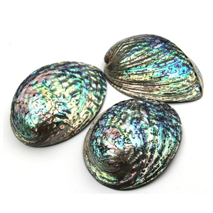 Organische Abalone-Schale in natürlicher Farbe - Product Image 1