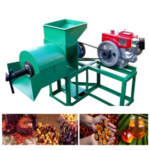 0.5t/h 1t/h棕榈仁饼干，棕榈仁壳分离机，棕榈仁油提取机 - Product Image 5