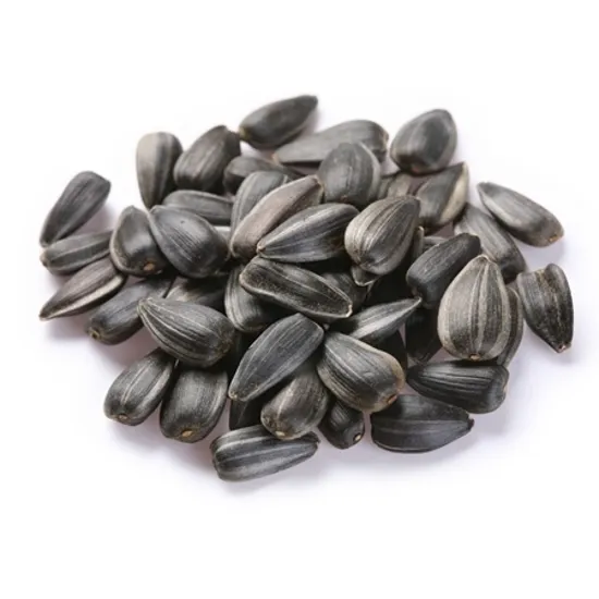 Semillas de girasol jumbo 361, buena calidad, semillas de girasol disponibles