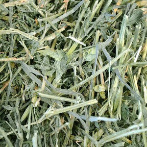 Fieno di erba medica essiccato al sole verde fieno disponibile alla rinfusa per programmi di alimentazione per animali da fattoria e Ranch - Product Image 5