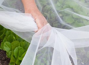 Tarım HDPE plastik ağ bitki koruma anti-haşere cibinlik seralar için sipariş üzerine rulo ambalaj - Product Image 4