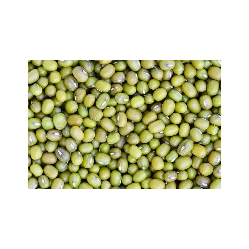 皮をむいた緑豆スプリット/緑豆中国からの新緑豆2021作物