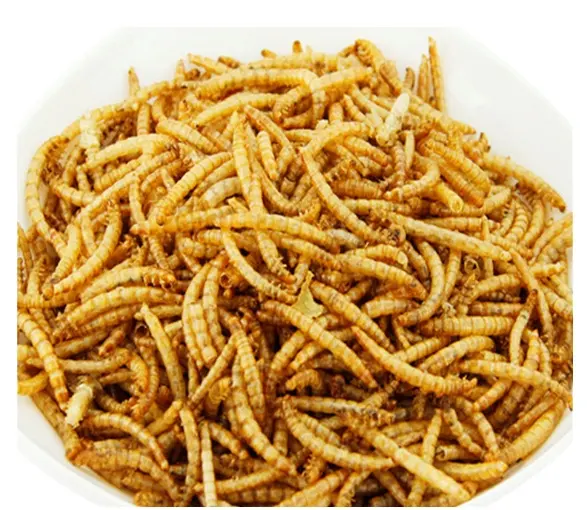 Mealworm-alimento Natural para mascotas, gusano seco para microondas, amarillo, barato