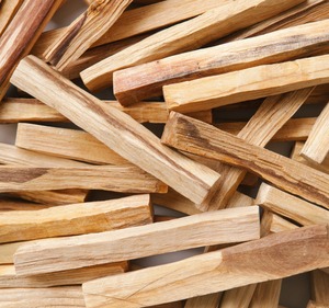 Palo Santo Wood, aslen ekvador'dan ULTRA PREMIUM yapışıyor. Tütsü ağacı. Ormandan vahşi üretim.