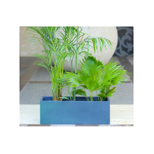 Latest Quality Luxury Style Best <strong>Planter</strong> Available at Popular Design and Color Available from Indian supplier. - Product Image 4