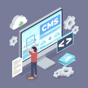 The Best <strong>Website</strong> <strong>Design</strong> <strong>and</strong> Custom Content Management Software for Business Growth Available at Best Price - Product Image 1