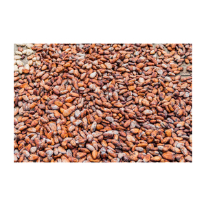 Granos de cacao de África occidental Grasa en polvo de cacao 10-12% - Product Image 5