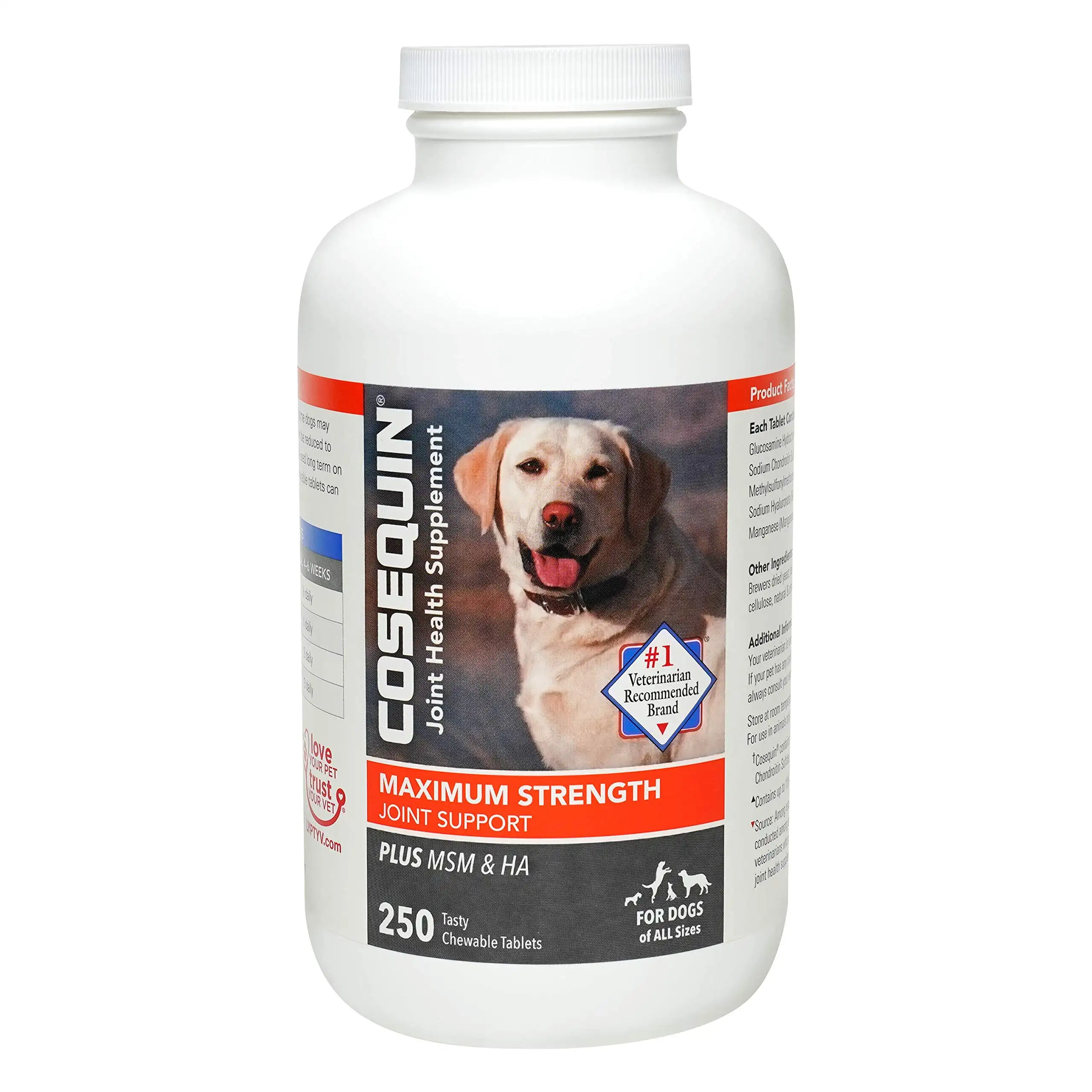 Maximum Strength Joint Health Supplement for Dogs - With Glucosamine, Chondroitin, and MSM, 250 Chewable Tablets