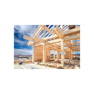 カラチレベルビーム建築建設ポプラ木材建設用 - Product Image 1