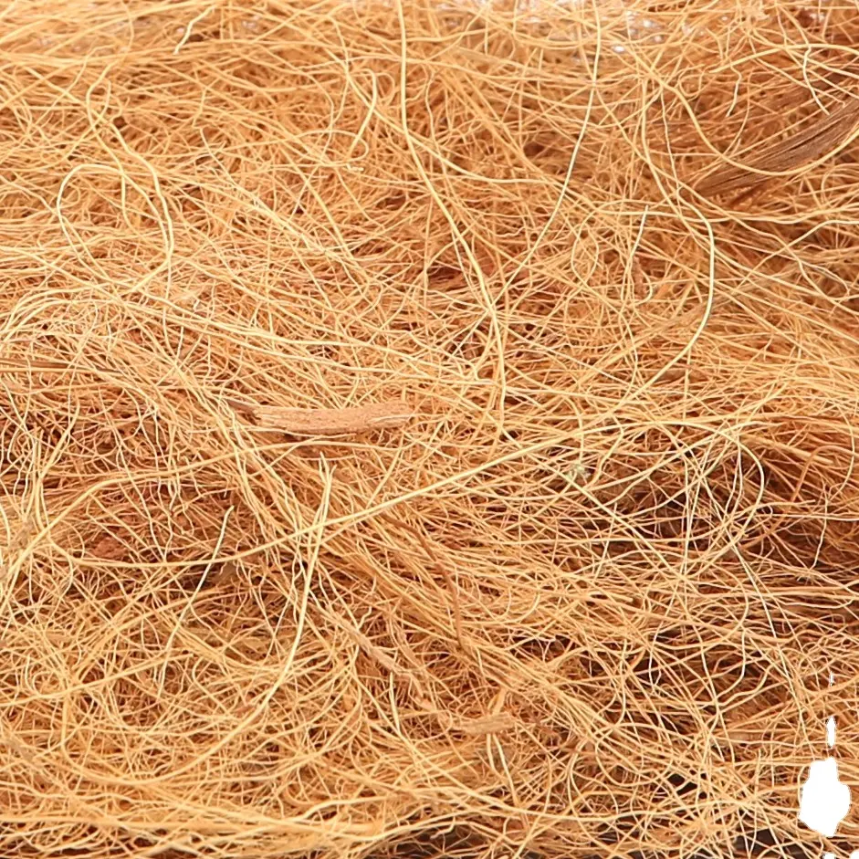 Vente en gros de fibre de coco utilisée pour produire des tapis