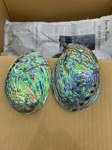 จี้เปลือกหอยเป๋าฮื้อขัดเงาเดี่ยวพร้อมสีรุ้งสวยงามงานฝีมือเปลือกหอยเป๋าฮื้อ-เหมาะสำหรับการทำเครื่องประดับ - Product Image 3