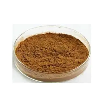 Topkwaliteit Cimicifuga Racemosa Extract Black Cohosh Wortel Extract Hoge Kwaliteit Cimicifuga Wortel Extract Black Cohosh Extract