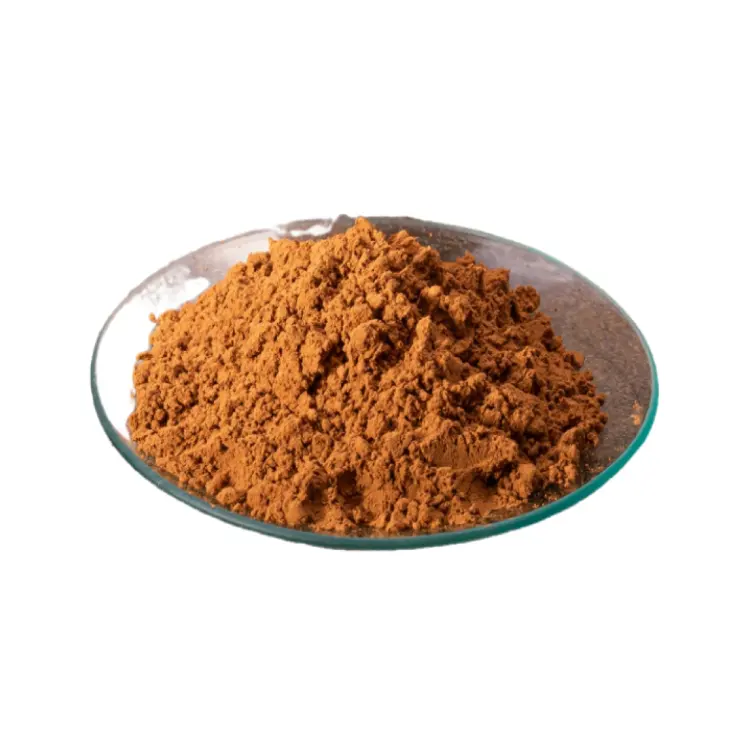 Bán buôn Ganoderma lucidum chiết xuất bột-1% triterpenoids & 40% polysaccharides