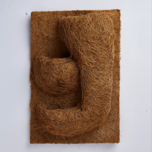 Natural and Organic Coco Backgrounds made from Sri Lankan coir fiber comfortable and safe for small animals
