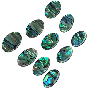 Toptan Oval doğal Abalone Cabochon <span class=keywords><strong>Paua</strong></span> kabuk kemik & mercan boncuk düz geri Abalone kabuk takı