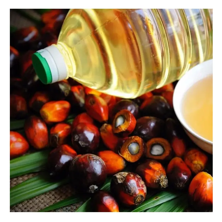 Olio da cucina vegetale di palma raffinato della malesia di alta qualità