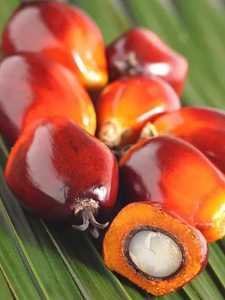 Premium Grade REFINED PALM <strong>OIL</strong> Wholesale Supply Factory price Refined palm <strong>oil</strong> Daily Food <strong>Cooking</strong> Palm Fruit <strong>Oil</strong> cp