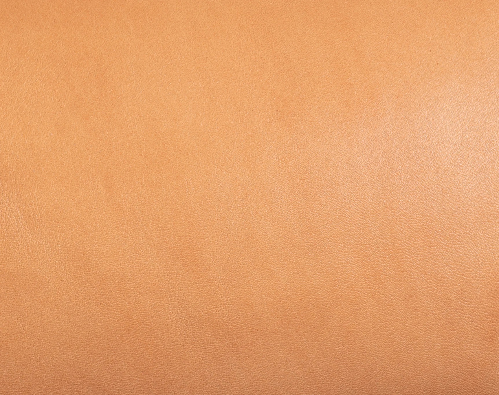 Natural Skin Leather