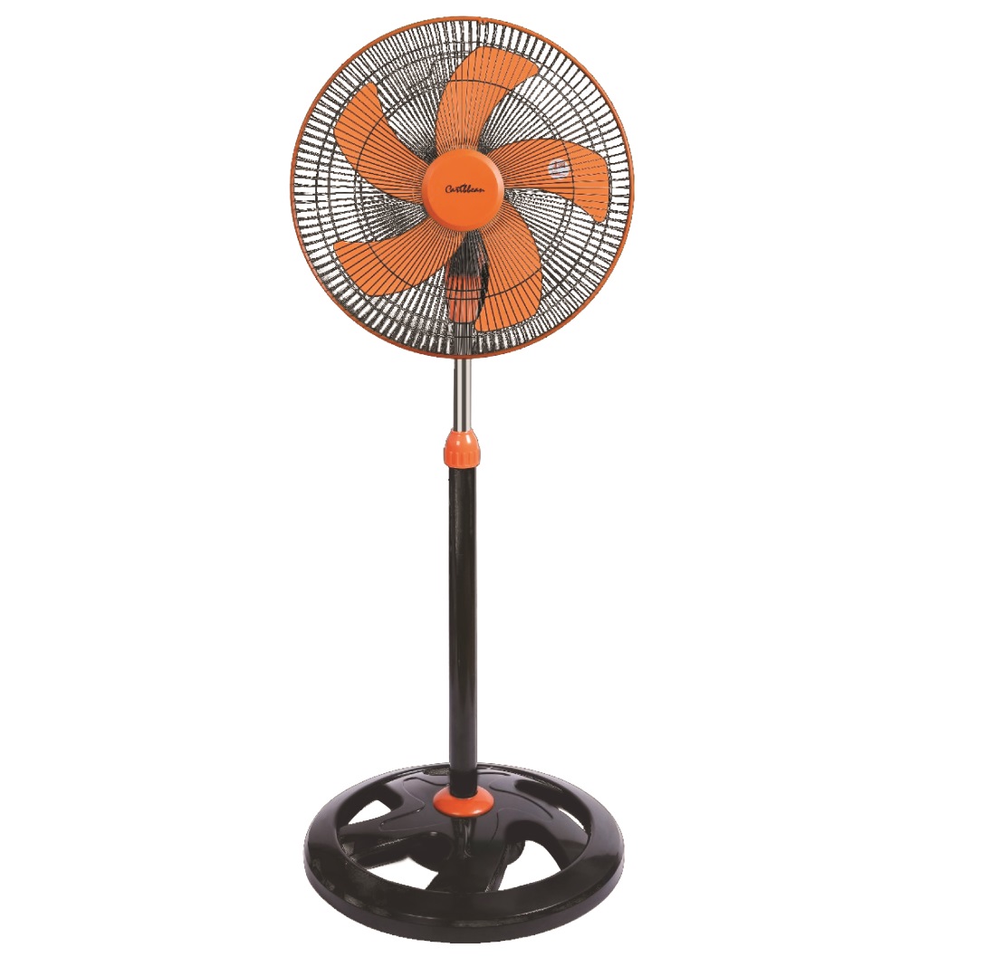 สีดำ/ สีส้ม