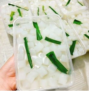 夏季最佳水果-Nata de coco/椰子果冻用于布丁或直接用于越南