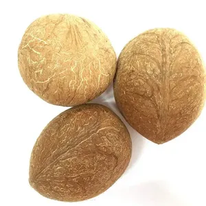 En kaliteli hindistan cevizi Copra/kurutulmuş hindistan cevizi - Product Image 3
