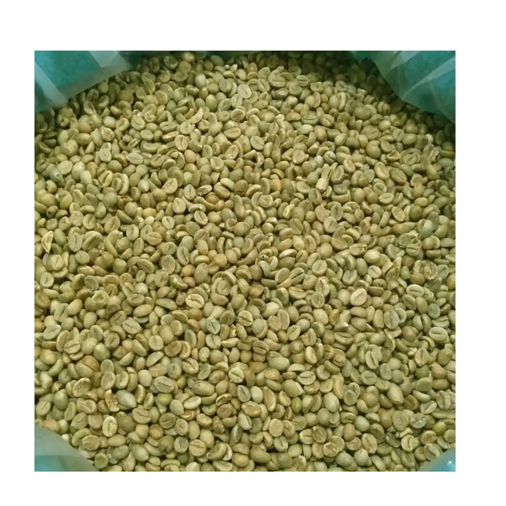 गर्म थोक अनुकूलित लोगो ग्रीन कॉफी बीन्स वियतनाम सस्ती कीमत रोबस्टा और अरेबिका कॉफी बीन्स - उच्च गुणवत्ता