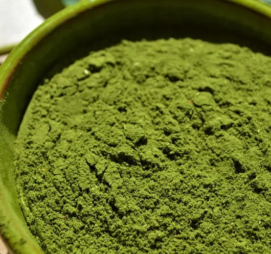 Beneficios para la salud Polvo de hoja de Moringa orgánico Cantidad a granel Proveedor y fabricante en India