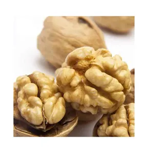 Fruits Factory Freshest Raw Walnut In Shell Dry Walnuts Nut Export To Worldwide