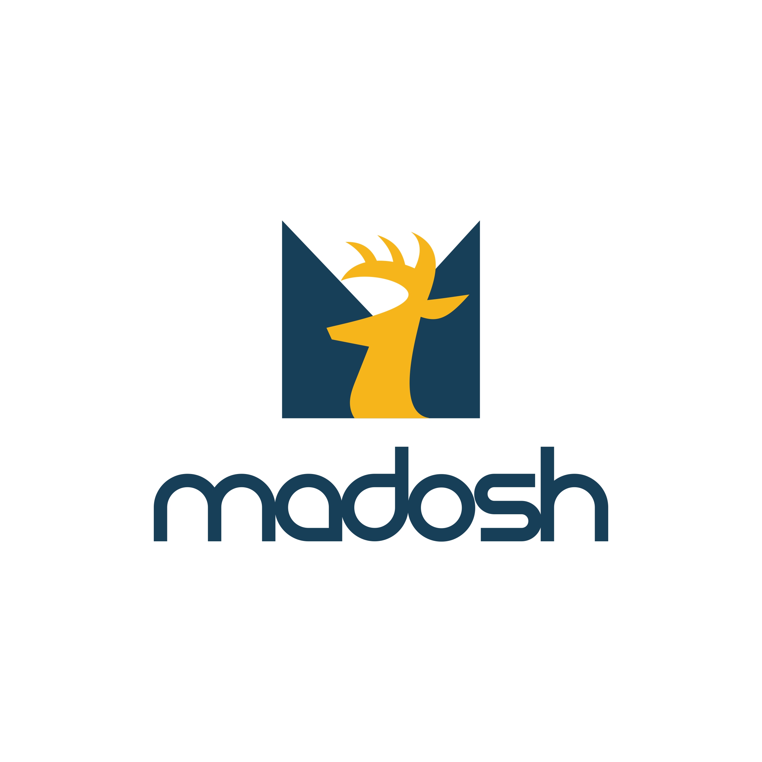 company logo