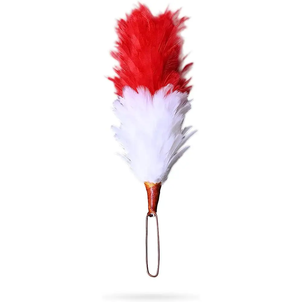 Venta al por mayor oferta de fábrica DIY pluma hackles ciruelas decoración 8-18cm colorido ganso DIY atrapasueños plumas