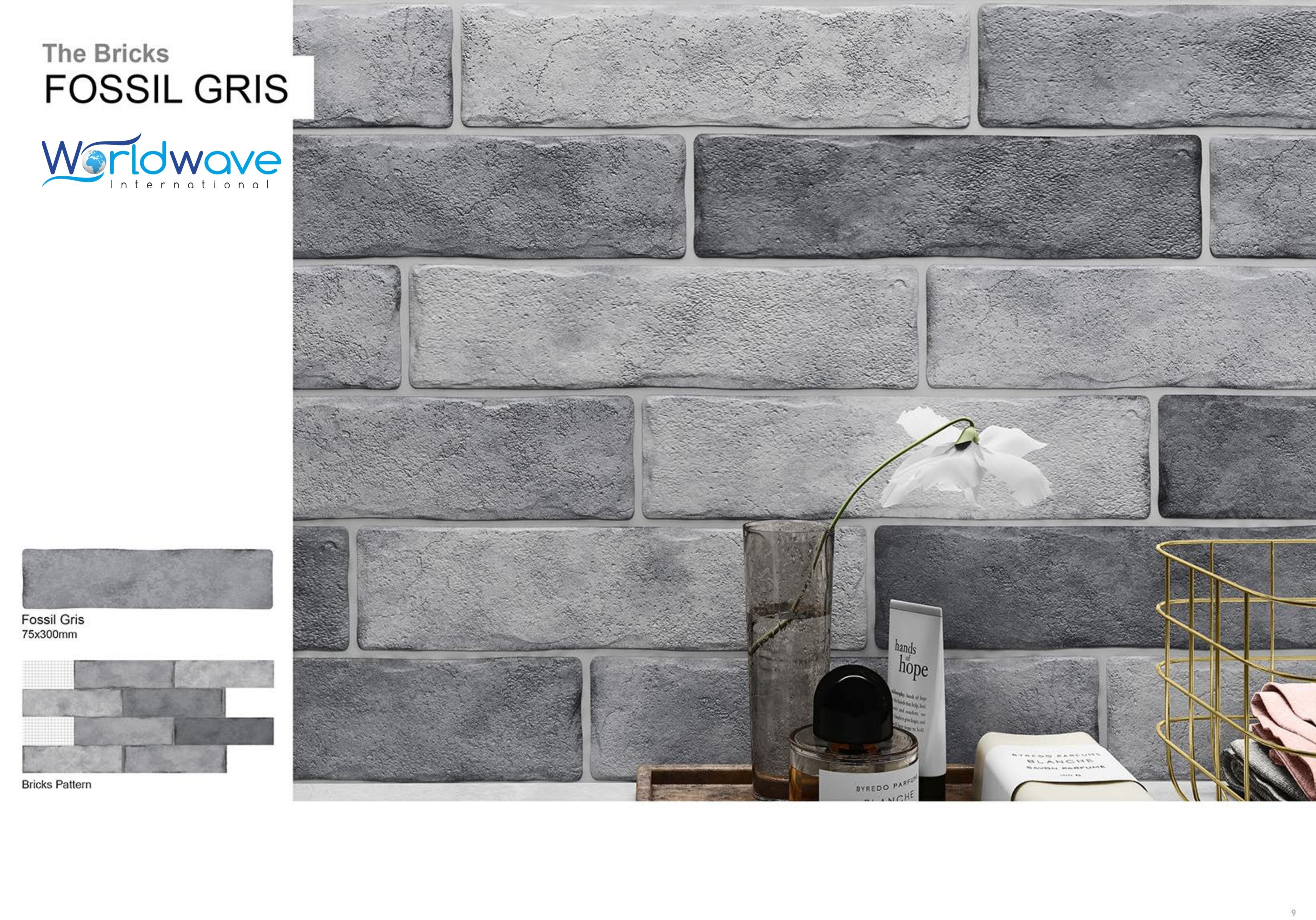 GRIS FOSSILE