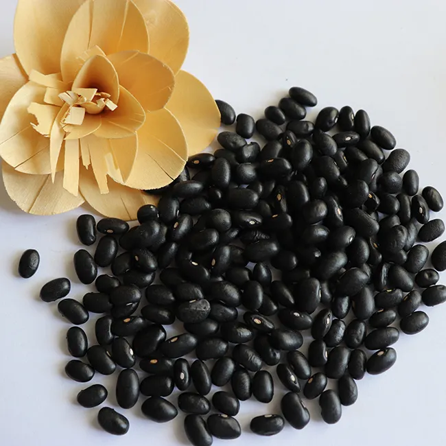 أسود حبوب الفاصولياء الجملة جديد المحاصيل 25 كجم 50 كجم الجافة الفول الأسود حبوب الفاصولياء