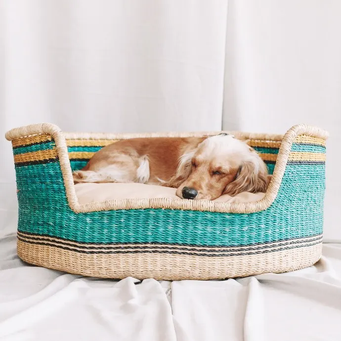 لطيف تصميم فريد الحيوان الحيوانات الأليفة سلال النوم سرير للقطط والكلاب