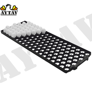 鸡、鸭、火鸡、鹅饲养的自动设置托盘孵化场用新型塑料材料 - Product Image 1