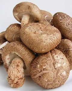 Nấm <span class=keywords><strong>Shiitake</strong></span> khô từ Việt Nam với chất lượng tốt nhất và giá rẻ trên thị trường - Product Image 4