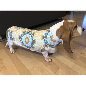 福气工业不同颜色对比宠物服装巴塞猎犬透气产品夹克