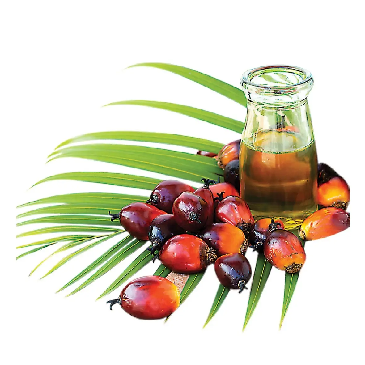 Olio di palma rosso grezzo e olio di palma raffinato 1L, 2L, 3L, 5L a 25L