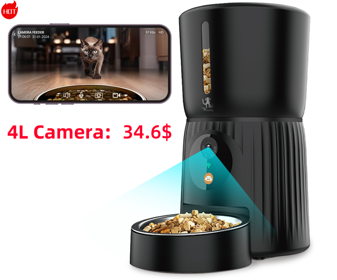 Black 4L Camera