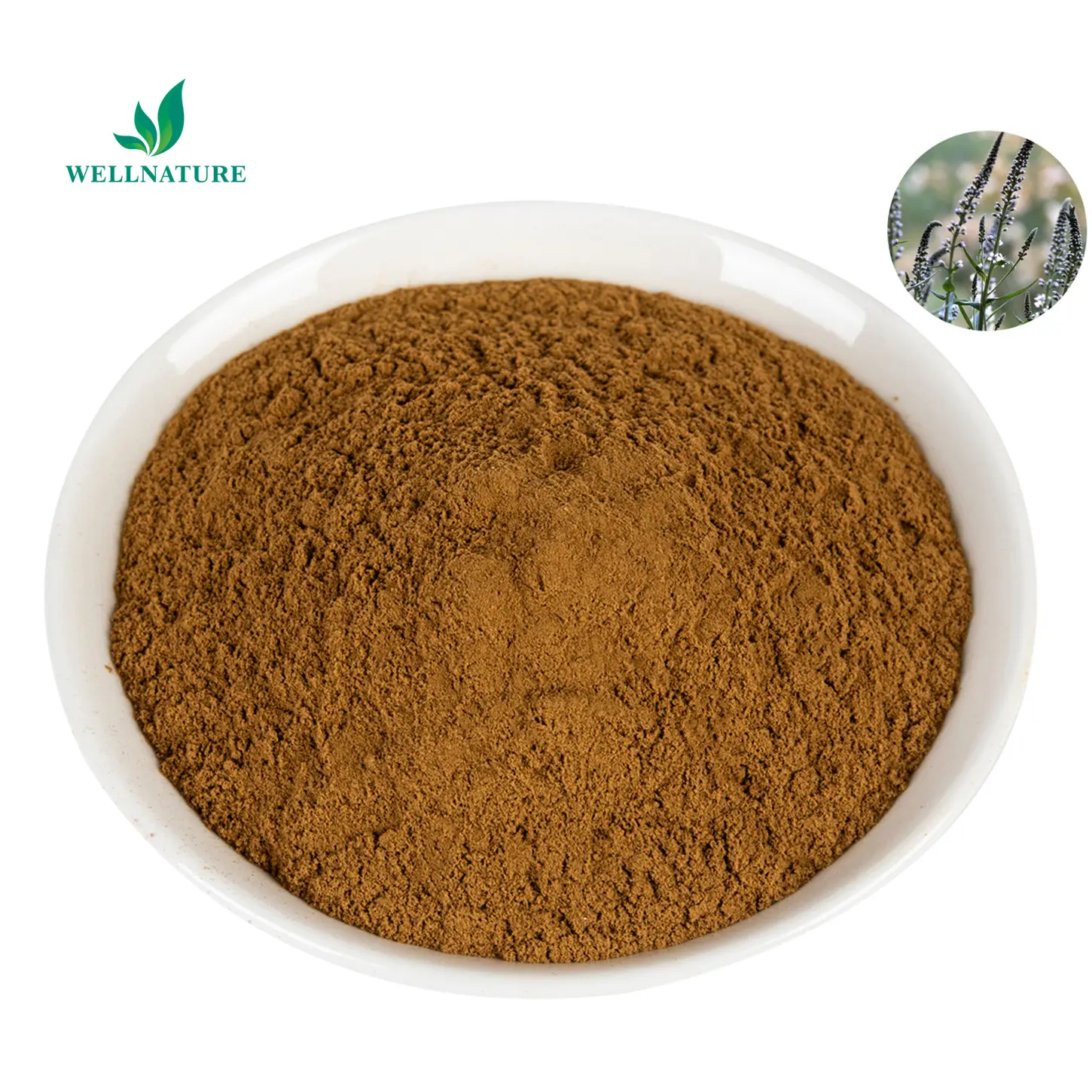 Alta Qualidade Black Cohosh Root Extract 2,5% Triterpene Glicosídeos Black Cohosh Extrato Em Pó