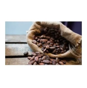 Лучшее качество какао бобы для продажи в дешевой цене - Product Image 6